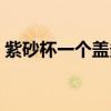 紫砂杯一个盖多少钱 弱弱的问下紫沙杯价格 