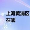 上海黄浦区可提供SKG电磁炉维修服务地址在哪