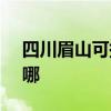 四川眉山可提供SKG电磁炉维修服务地址在哪