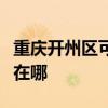 重庆开州区可提供日顺抽油烟机维修服务地址在哪