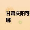 甘肃庆阳可提供SKG电磁炉维修服务地址在哪