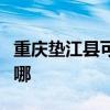 重庆垫江县可提供康宝消毒柜维修服务地址在哪