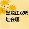 黑龙江双鸭山可提供SKG电磁炉维修服务地址在哪