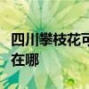 四川攀枝花可提供日顺抽油烟机维修服务地址在哪