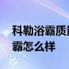 科勒浴霸质量怎样 哪位亲告诉下格勒风暖浴霸怎么样 