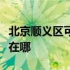 北京顺义区可提供九阳抽油烟机维修服务地址在哪