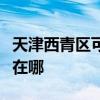 天津西青区可提供艾美特电磁炉维修服务地址在哪