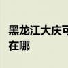 黑龙江大庆可提供每时乐电磁炉维修服务地址在哪