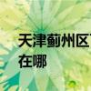 天津蓟州区可提供SKG电磁炉维修服务地址在哪