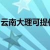 云南大理可提供康佳电饭煲维修服务地址在哪