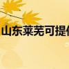 山东莱芜可提供德意消毒柜维修服务地址在哪