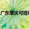 广东肇庆可提供格力电饭煲维修服务地址在哪