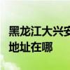 黑龙江大兴安岭可提供澳柯玛消毒柜维修服务地址在哪