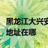黑龙江大兴安岭可提供澳柯玛电饭煲维修服务地址在哪