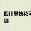 四川攀枝花可提供红牌消毒柜维修服务地址在哪 四川攀枝花可提供红牌消毒柜维修服务地址在哪