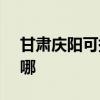 甘肃庆阳可提供SKG消毒柜维修服务地址在哪