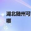 湖北随州可提供SKG消毒柜维修服务地址在哪