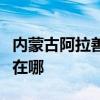 内蒙古阿拉善可提供格力电饭煲维修服务地址在哪