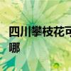 四川攀枝花可提供格力电饭煲维修服务地址在哪 四川攀枝花可提供格力电饭煲维修服务地址在哪