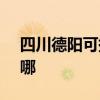 四川德阳可提供SKG电饭煲维修服务地址在哪