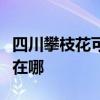 四川攀枝花可提供格兰仕电饼铛维修服务地址在哪