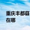 重庆丰都县可提供SKG电饭煲维修服务地址在哪