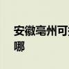 安徽亳州可提供SKG电饭煲维修服务地址在哪