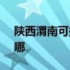 陕西渭南可提供SKG电饭煲维修服务地址在哪