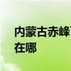 内蒙古赤峰可提供SKG电饼铛维修服务地址在哪