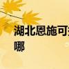 湖北恩施可提供SKG电饼铛维修服务地址在哪