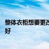 整体衣柜想要更改面板颜色 求大神说下整体衣柜用什么颜色好 