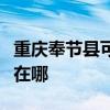 重庆奉节县可提供澳柯玛电饼铛维修服务地址在哪