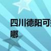 四川德阳可提供SKG电饼铛维修服务地址在哪