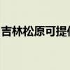 吉林松原可提供东菱电饼铛维修服务地址在哪
