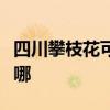 四川攀枝花可提供东菱电饼铛维修服务地址在哪