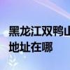 黑龙江双鸭山可提供荣事达电压力锅维修服务地址在哪