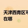 天津西青区可提供松下电压力锅维修服务地址在哪 天津西青区可提供松下电压力锅维修服务地址在哪