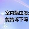 室内螨虫怎么消灭 怎样去除室内螨虫知道的能告诉下吗 
