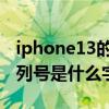 iphone13的序列号是哪个 iPhone13国行序列号是什么字母开头 