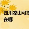 四川凉山可提供每时乐电压力锅维修服务地址在哪