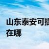 山东泰安可提供每时乐电压力锅维修服务地址在哪