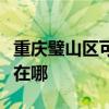 重庆璧山区可提供红牌电压力锅维修服务地址在哪