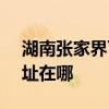 湖南张家界可提供SKG电压力锅维修服务地址在哪