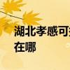 湖北孝感可提供SKG电压力锅维修服务地址在哪