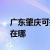 广东肇庆可提供SKG电压力锅维修服务地址在哪