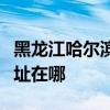 黑龙江哈尔滨可提供东菱电压力锅维修服务地址在哪