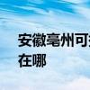安徽亳州可提供SKG电压力锅维修服务地址在哪