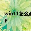win11怎么查看ip地址 win11怎么查看电脑IP 