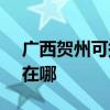 广西贺州可提供SKG电压力锅维修服务地址在哪
