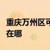 重庆万州区可提供洛贝电压力锅维修服务地址在哪
